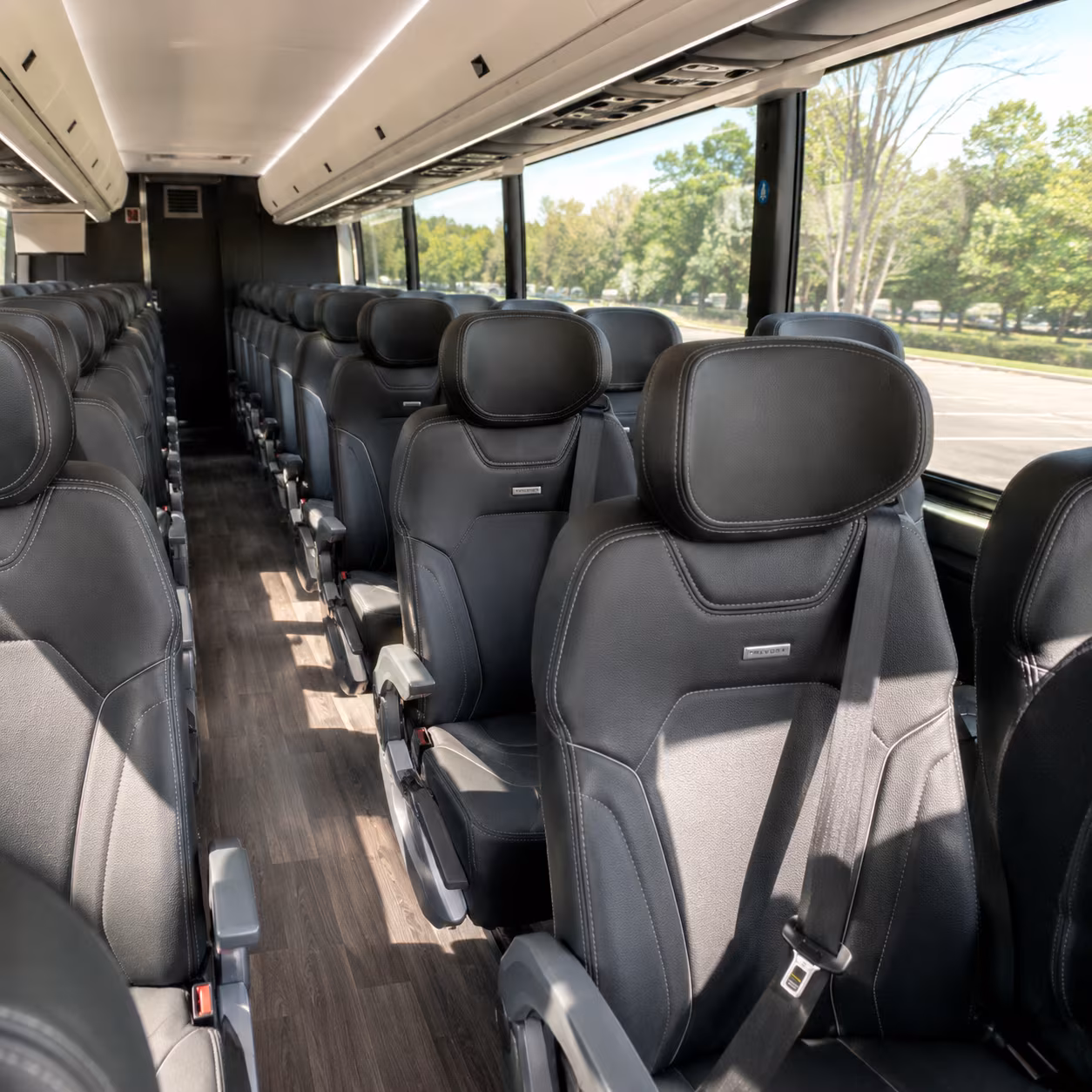 coral springs 56 passenger charter bus inside
